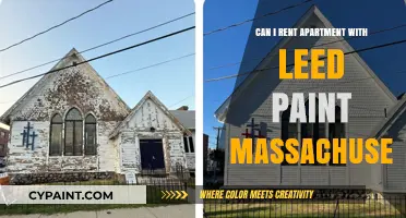 Navigating LEED Paint Regulations in Massachusetts Rentals