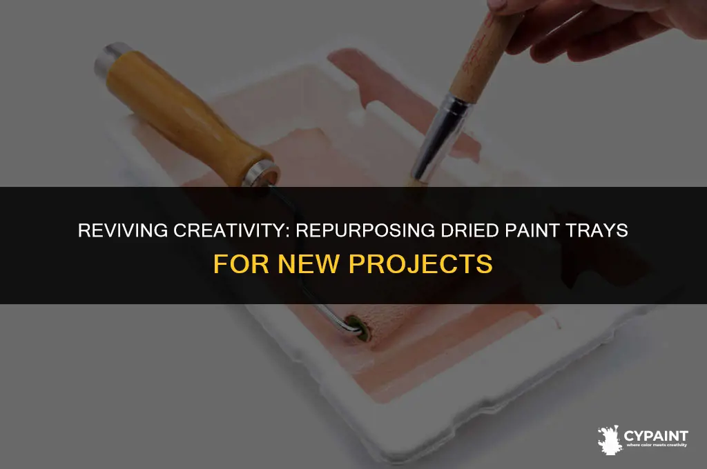 can i reuse paint tray with dried paint