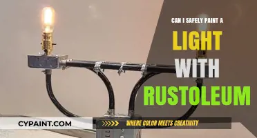 Revamping Your Light Fixture: A Rust-Oleum Painting Guide
