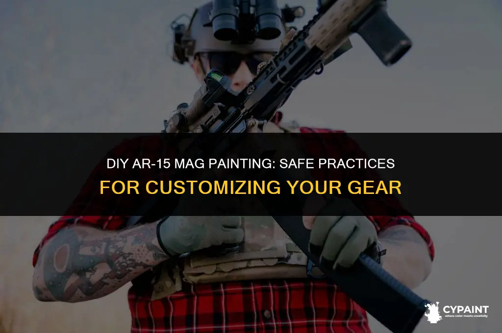 can i safely paint my ar15 steel mags