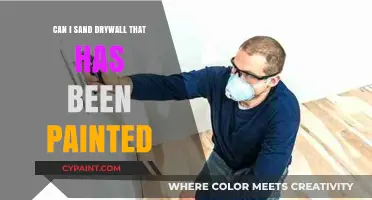 Revamping Your Walls: Can You Sand Painted Drywall?