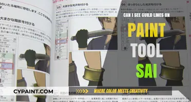 SAI Guidelines: How to View and Use