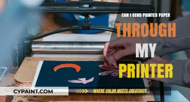 Exploring the Possibilities: Can You Send Painted Paper Through Your Printer?