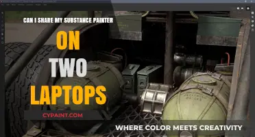 How to Share Substance Painter on Multiple Laptops