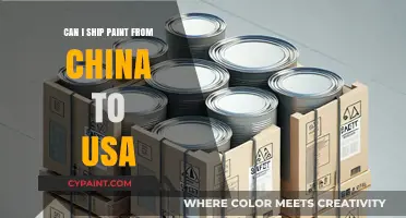 Navigating International Shipping: Can You Send Paint from China to the USA?
