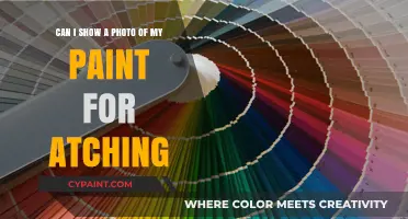 Can I Share My Paint Photo for Accurate Color Matching?