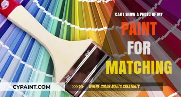 Can I Show a Photo of My Paint for Matching?