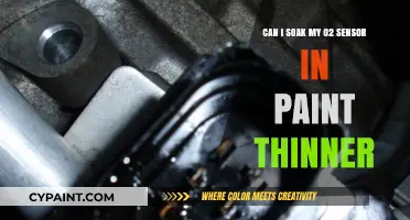 Soaking O2 Sensors in Paint Thinner: A Good Idea?