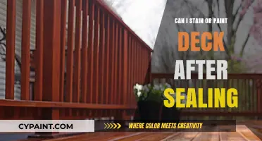 Revamping Your Deck: Staining or Painting After Sealing