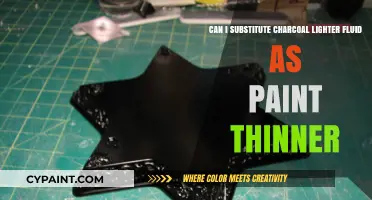 Charcoal Lighter Fluid: A Viable Paint Thinner Substitute?