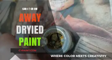 Reviving Creativity: Can I Transform Dried Paint into Art Again?