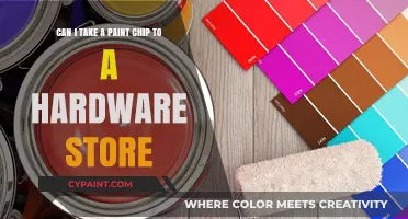 Can You Take a Paint Chip to a Hardware Store for Matching?