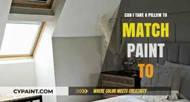 Pillow Shopping: Paint Matching Made Easy