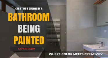 Showering in a Freshly Painted Bathroom: Safe or Risky?
