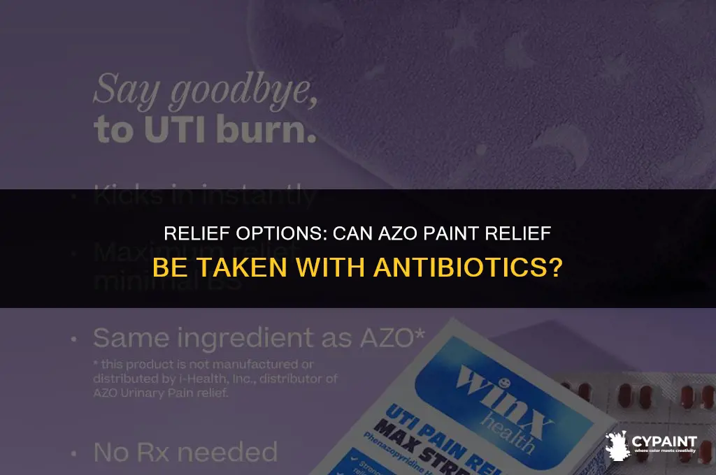 can i take azo paint relief with antibiotics