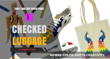 Dry Erase Paint: Safe for Checked Luggage?