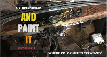 Customizing Your Dash: Can You Remove and Paint It?