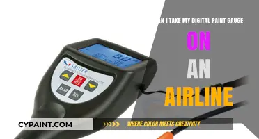 Traveling with a Digital Paint Gauge: Airline Carry-On Rules Explained