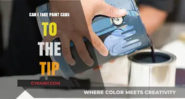 Eco-Friendly Disposal: Can You Take Paint Cans to the Tip?