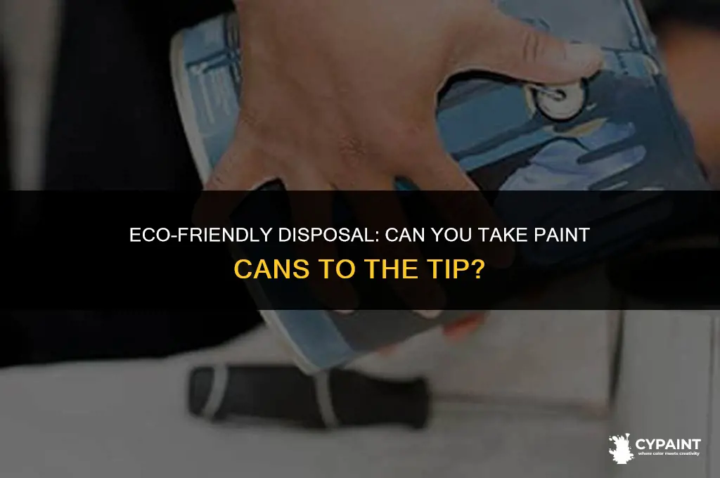 can i take paint cans to the tip