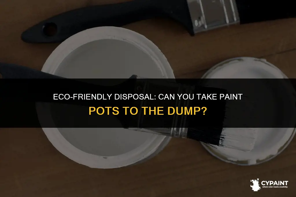 can i take paint pots to the dump