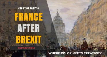 Navigating Post-Brexit Travel: Can You Take Paint to France?