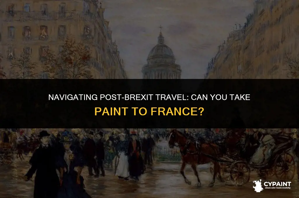 can i take paint to france after brexit