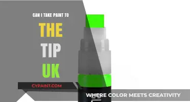 Exploring the Possibilities: Can You Take Paint to the Tip in the UK?