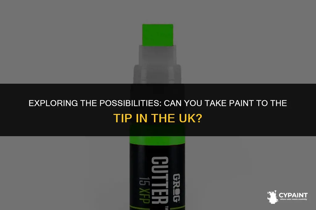 can i take paint to the tip uk