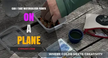 Flying with Watercolors: A Guide to Traveling with Your Artistic Tools