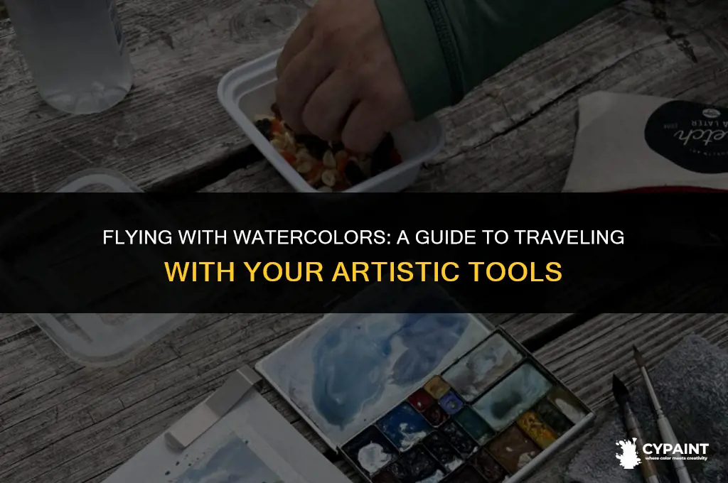 can i take watercolour paints on a plane