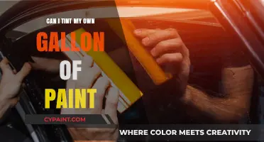 DIY Paint Tinting: Transforming Your Gallon with Ease