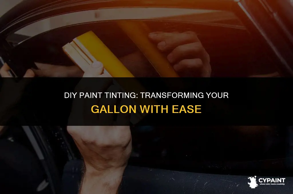 can i tint my own gallon of paint