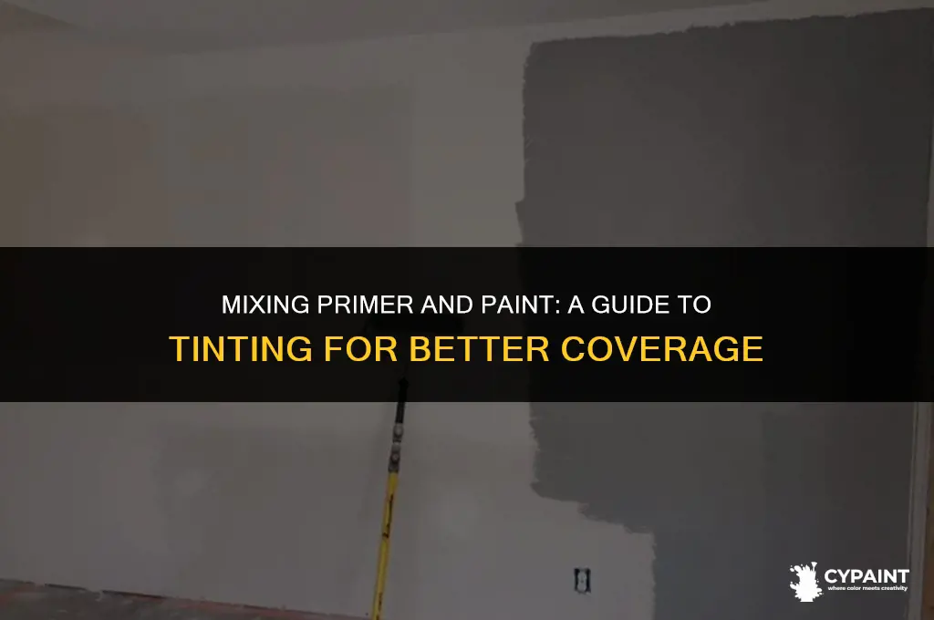can i tint my primer with my paint
