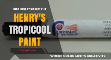 Touching Up Your Roof with Henry's Tropi-Cool Paint: A Guide