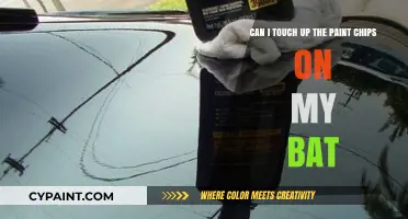Touching Up Paint Chips on Your Bat: A DIY Guide