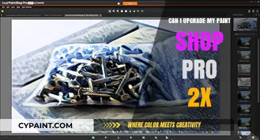 Exploring PaintShop Pro 2024: Can You Upgrade from Version 8?