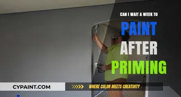 Primer Patience: Wait a Week Before Painting?
