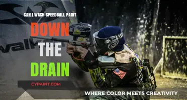 Safely Disposing of Speedball Paint: Drain or Not?