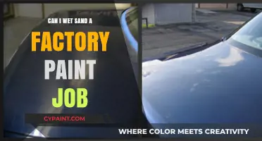 Reviving Your Ride: Wet Sanding Factory Paint for a Flawless Finish