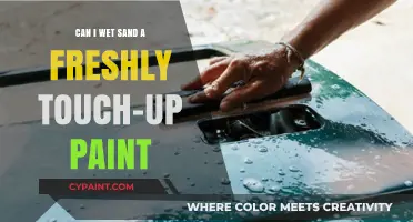 Wet Sanding Fresh Touch-Up Paint: When and How?