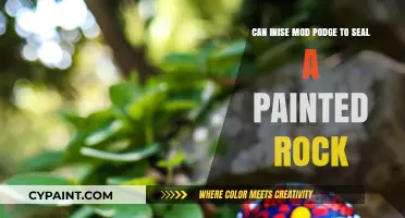How to Seal Painted Rocks with Mod Podge