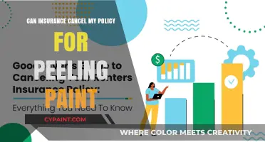 Can Insurance Cancel My Policy for Peeling Paint?