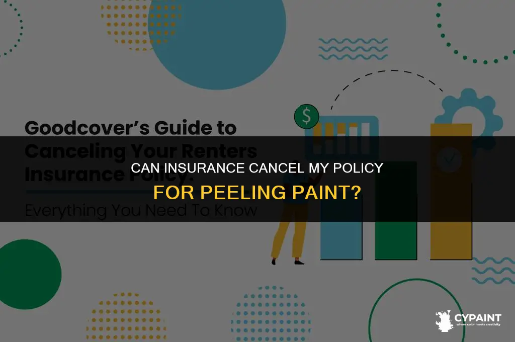 can insurance cancel my policy for peeling paint