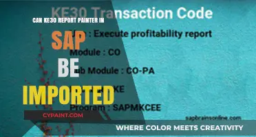 Importing KE30 Report Painter in SAP: A Comprehensive Guide