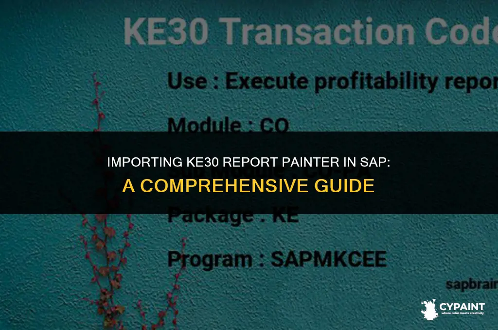 can ke30 report painter in sap be imported