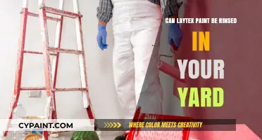 Eco-Friendly Cleanup: Rinsing Latex Paint in Your Yard