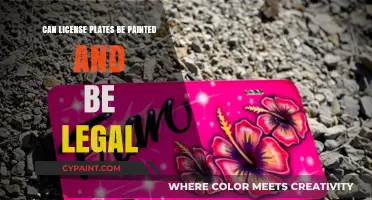 Exploring the Legality of Custom Painted License Plates
