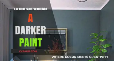 Transforming Walls: The Art of Light Paint Over Dark