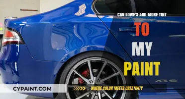 How Lowe's Can Enhance Your Paint Job